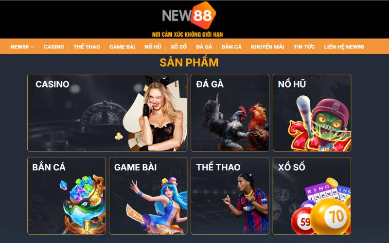 Sản phẩm New88